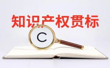 知识产权的工作计划5篇