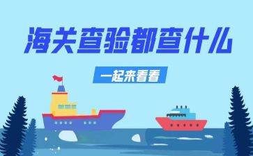 2024入托入学查验工作总结6篇