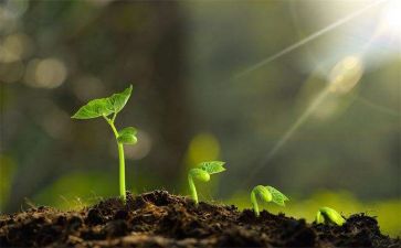 成长记作文400字优秀8篇