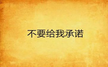 2024年村书记承诺书8篇