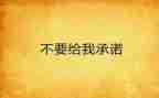 2024年村书记承诺书8篇