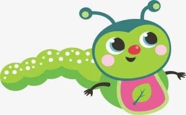 花和瓢虫中班教案7篇
