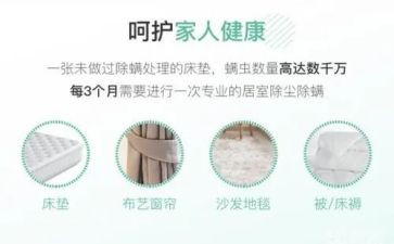 除螨活动的总结模板5篇