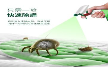 除螨活动的总结优质7篇