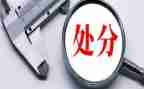 大学生处分申请书精选6篇