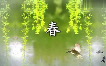 我想找春天作文7篇