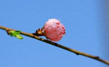 幼儿园春期末工作总结最新5篇