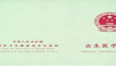 出生证明自查报告8篇