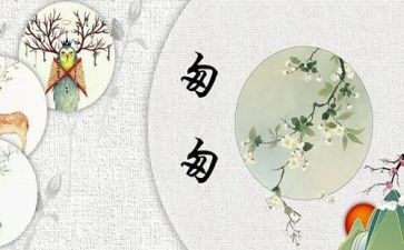 读后感匆匆读后感精选7篇
