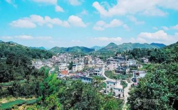 2024年村财务的个人述职报告优质5篇