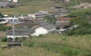 村上半年工作总结2023推荐6篇