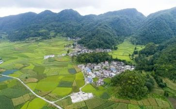 农村工作报告和工作计划7篇