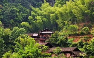 对农村的调研报告精选6篇