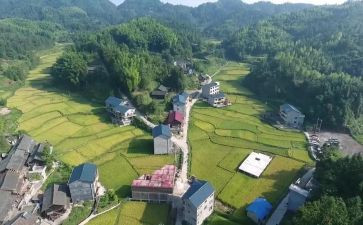 2024年村纪检述职报告优秀7篇