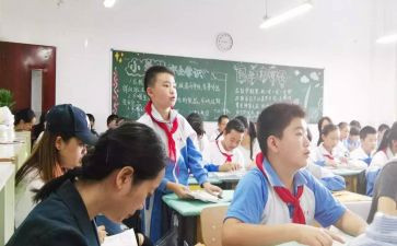 错别字小学调查报告8篇