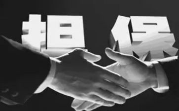 担保公司个人总结优秀8篇