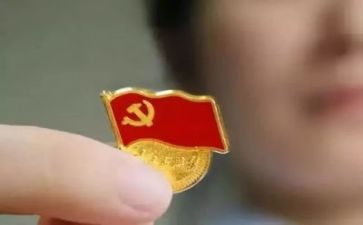 党友半年工作总结优质8篇