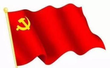 局党组工作报告精选8篇