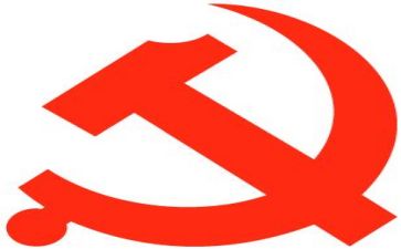 局党组工作报告5篇