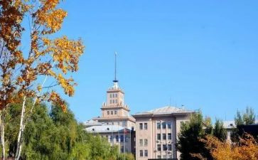 大学调查报告6篇