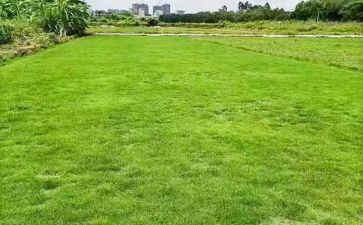 房地产策划述职报告8篇