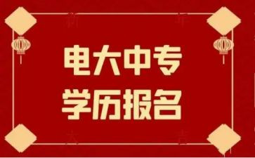 电大学生调查报告推荐6篇