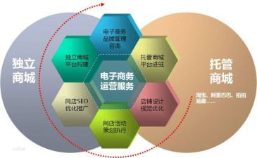 学电商的个人总结通用7篇