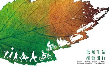 低碳的调查报告优质5篇