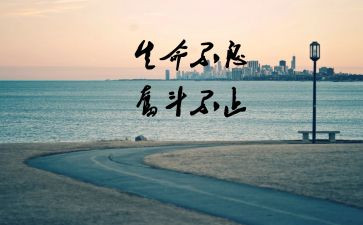 读懂了人生作文5篇