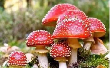 禁毒上半年工作总结7篇