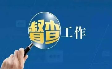 督查科半年工作总结8篇