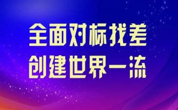 企业对标工作总结精选8篇