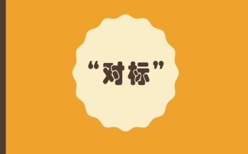 企业对标工作总结推荐7篇