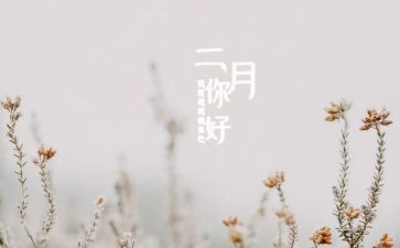 班主任二月份工作计划5篇