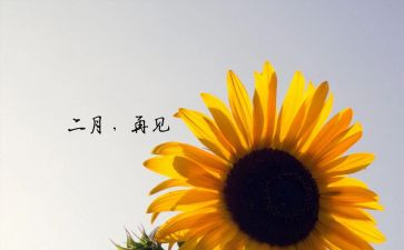 二月二工作总结6篇