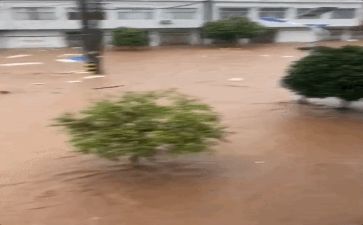 区防汛办工作总结参考7篇