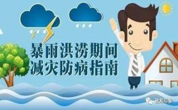 防汛工作总结最新6篇