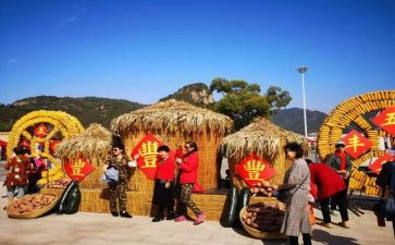 中国农民丰收节活动总结8篇