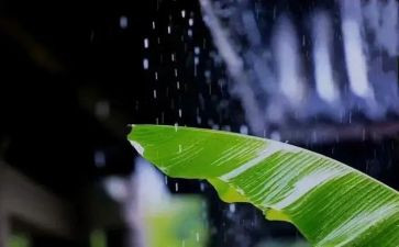 风雨桥作文600字最新7篇