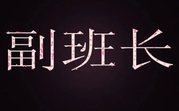 初中工作总结副班长8篇