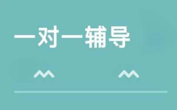 2024年辅导班教师工作计划8篇