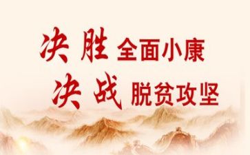 扶贫工作总结及工作计划8篇