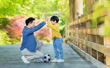 父与子阅读心得体会通用6篇