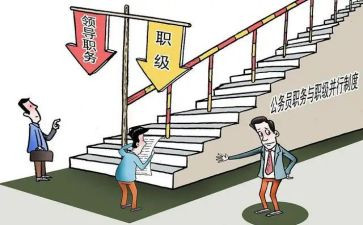 2024年村副职述职报告8篇