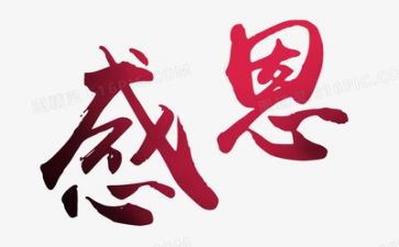 感恩教师的演讲稿800字8篇