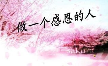 感恩亲情作文模板5篇
