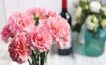 感恩节活动总结最新7篇