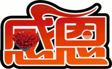 感恩节的演讲稿优质6篇
