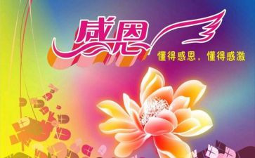 我感恩,我______作文500字精选6篇