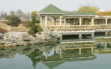 2023年高校教师工作总结模板7篇